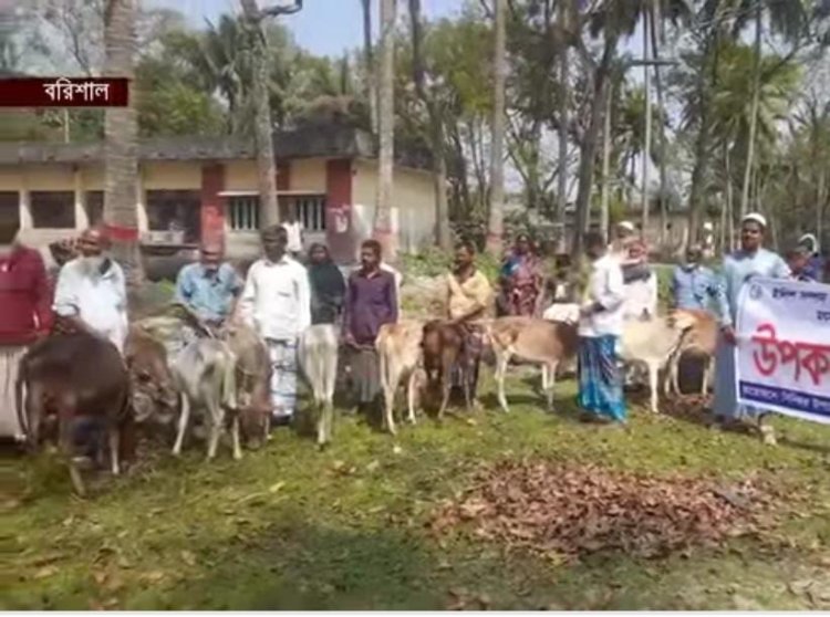 বাবুগঞ্জে জেলেদের গরু বিতরণে বিএনপি নেতাকর্মীদের হস্তক্ষেপ: ৮টি গরু ছিনতাইয়ের অভিযোগ