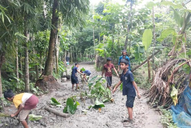কাঁচা রাস্তা পাকাকরণের দাবিতে রাস্তায় কচুগাছ রোপণ করে অভিনব প্রতিবাদ