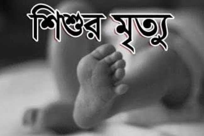 মুলাদীতে শ্যালিকাকে নিয়ে পালানো দুলাভাইয়ের ঘটনায় মামলা করতে গিয়ে দুর্ঘটনায় শাশুড়ির মৃত্যু