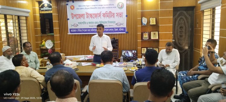 হিজলায় ইলিশ সংরক্ষণে উপজেলা টাস্কফোর্স কমিটির